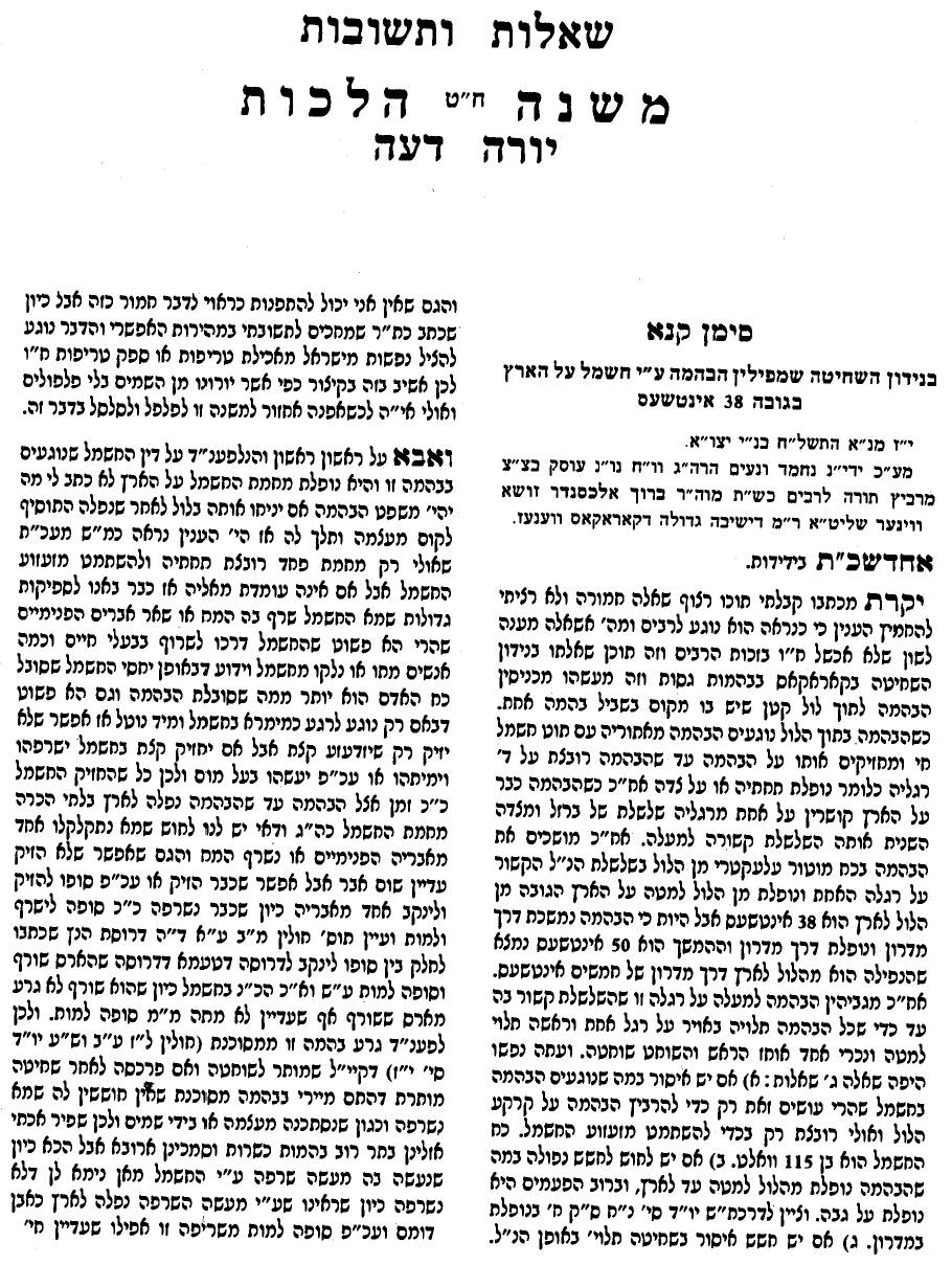     - rabbi menashe klein ungwar